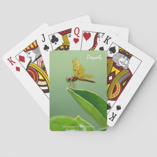 Cartes à jouer libellule orange (dos)