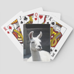 Cartes à jouer Llama Sourire