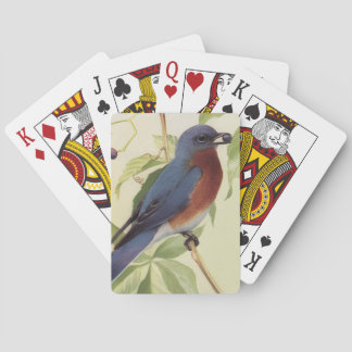 Cartes à jouer oiseaux