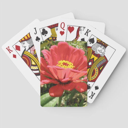 Cartes à jouer Red Zinnia (dos)