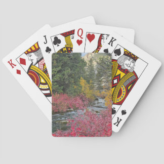 Cartes à jouer Stream Blooms