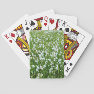 Cartes à jouer sur l'herbe de coton