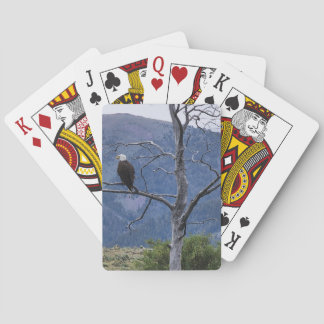 Cartes à jouer surveillées
