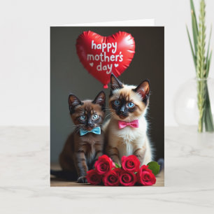 Cartes Amis Chatons Matts