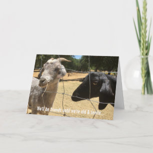 Cartes Amusantes Pour Amis Pour Toujours