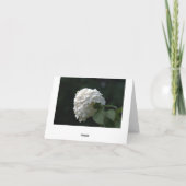 Cartes blanches vierges de remerciement de mariage (Dos)