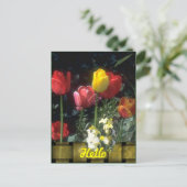 Cartes Bonjour (Debout devant)