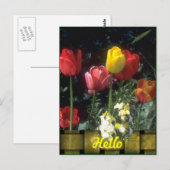 Cartes Bonjour (Devant / Derrière)