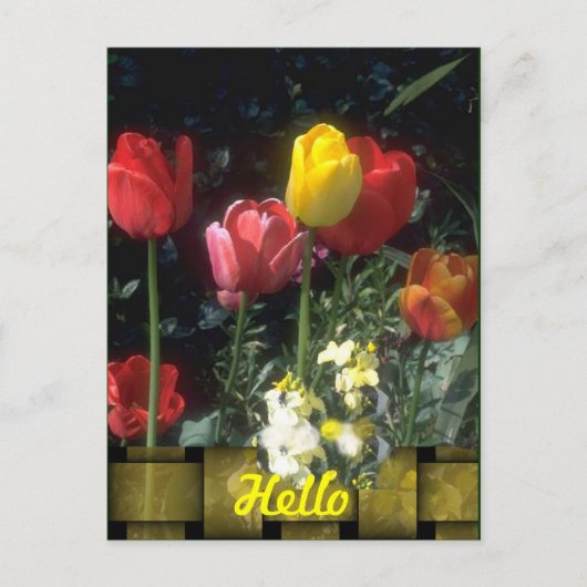 Cartes Bonjour (Devant)