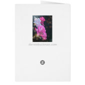 Cartes Bouquet Rose (Dos)