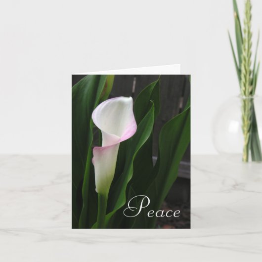 Cartes Calla Lily (Devant)