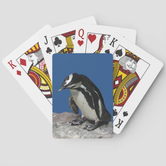 Cartes Carte de jeu de pingouins africains (dos)