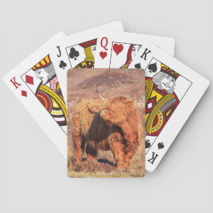 Cartes Carte de jeu Highland Cow