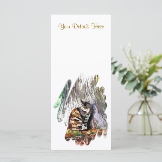 CARTES CAT (Debout devant)