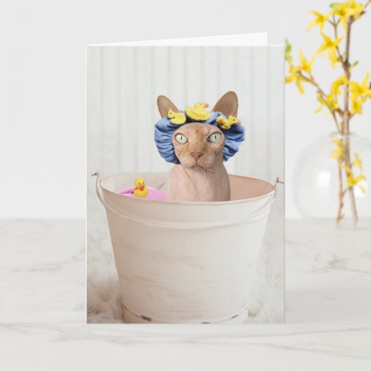 CARTES CHAT SPHYNX (SANS CHEVEUX) CHAT FUNNY (Fleur jaune)