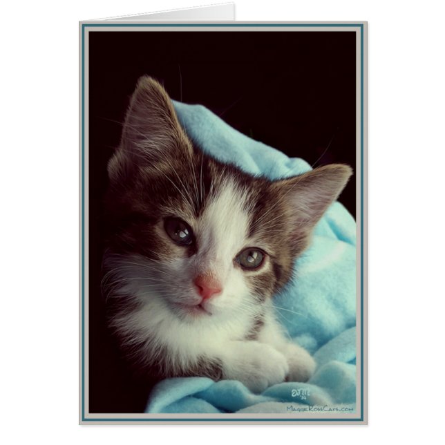 Cartes Chats Chouchous 6 (Devant)