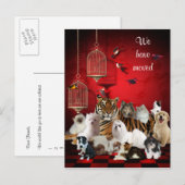 Cartes & Chats et Cages Rouges, Nous avons déménag (Devant / Derrière)