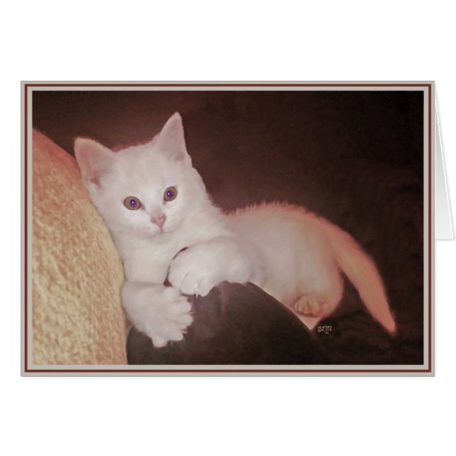 Cartes Chats PUPs 14 (Devant horizontal)