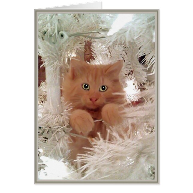 Cartes Chats PUPs 16 (Devant)