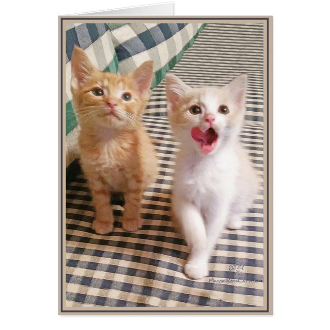 Cartes Chats PUPs 5 (Devant)