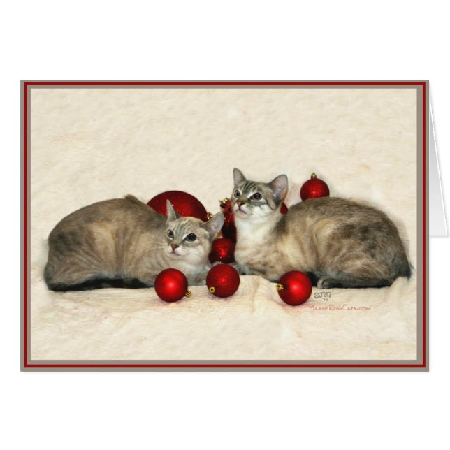 Cartes Chats PUPs 9 (Devant horizontal)