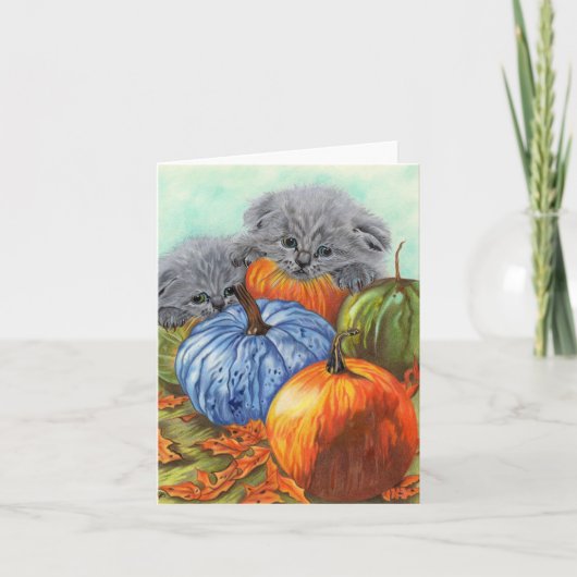 Cartes Citrouilles et Chatons (Devant)