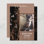 cartes commémoratives oiseaux d'argent (Devant / Derrière)