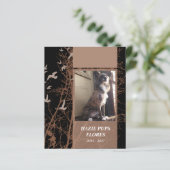 cartes commémoratives oiseaux d'argent (Debout devant)