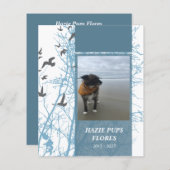 cartes commémoratives oiseaux d'argent (Devant / Derrière)