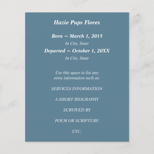 cartes commémoratives oiseaux d'argent (Dos)