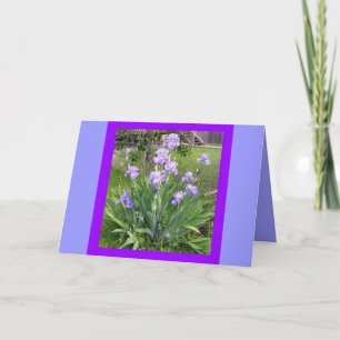CARTES D'ACCUEIL
