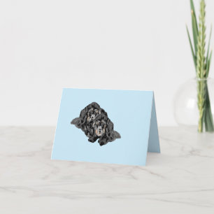Cartes : Dachshund
