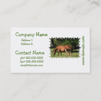 Cartes d'affaire de famille de cheval