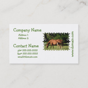 Cartes d'affaire de famille de cheval
