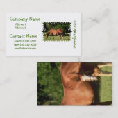 Cartes d'affaire de famille de cheval (Devant / Derrière)