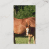 Cartes d'affaire de famille de cheval (Dos)