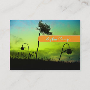 Cartes d'affaires photographiques