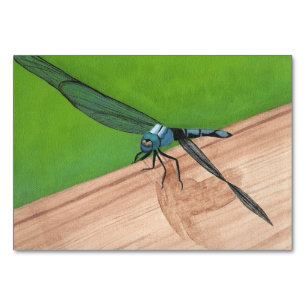 Cartes d'affichage des insectes dragonfly