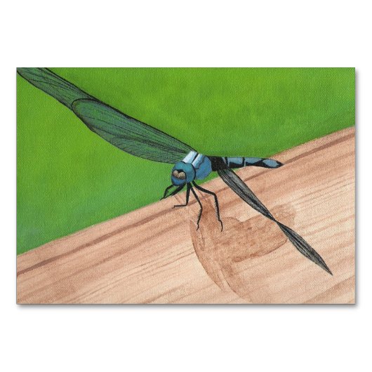 Cartes d'affichage des insectes dragonfly (Devant)