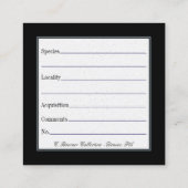 Cartes d'affichage pour les collections de fossile (Dos)