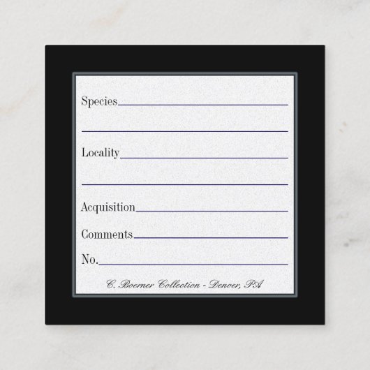 Cartes d'affichage pour les collections de fossile (Dos)