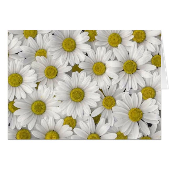 Cartes d'anniversaire (Devant horizontal)