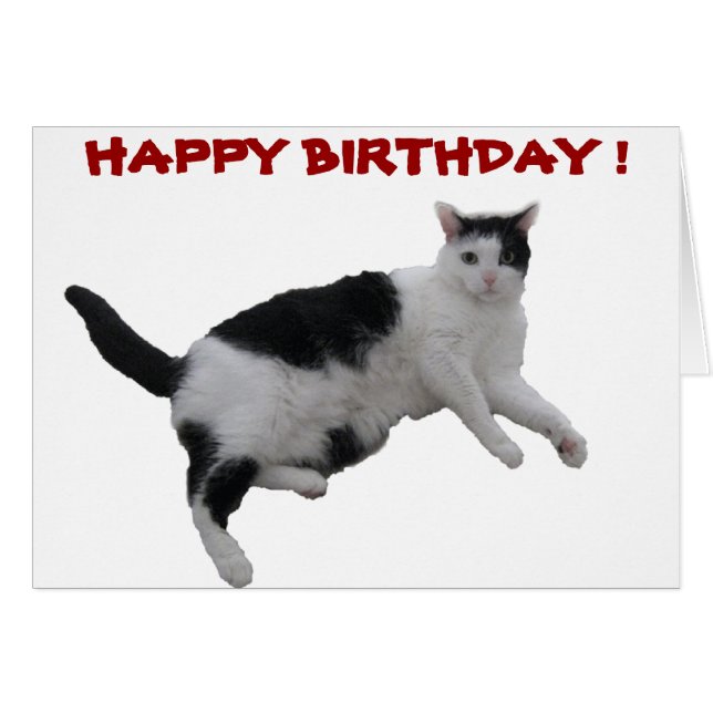 CARTES D'ANNIVERSAIRE (Devant horizontal)