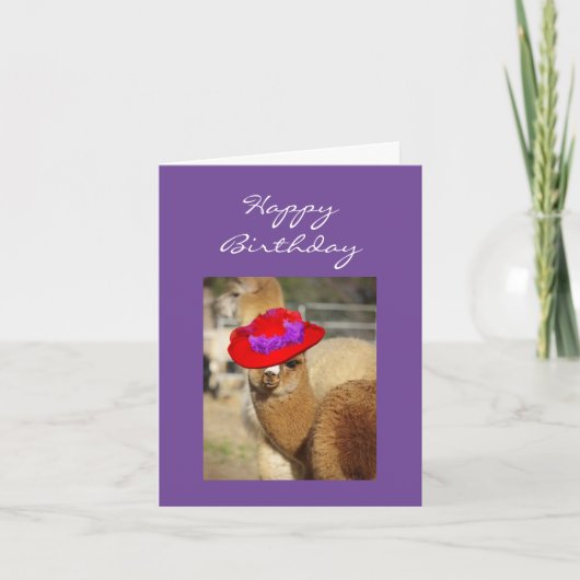 Cartes d'anniversaire Alpaca (Devant)