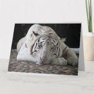 CARTES D'ANNIVERSAIRE BLANCHE TIGER CUTE GRANDE CA