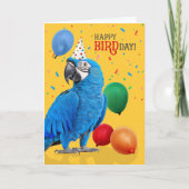 Cartes d'anniversaire drôle de perroquet Ara Hyaci (Devant)