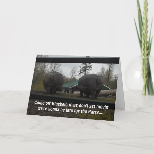 Cartes d'anniversaire drôle d'hippopotame (Devant)