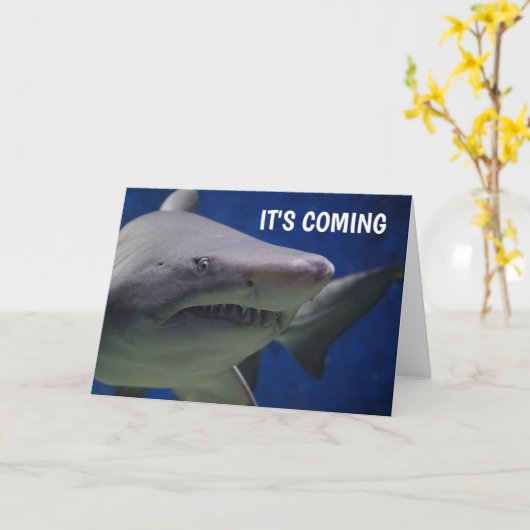 CARTES D'ANNIVERSAIRE FUNNY SHARK (Fleur jaune)
