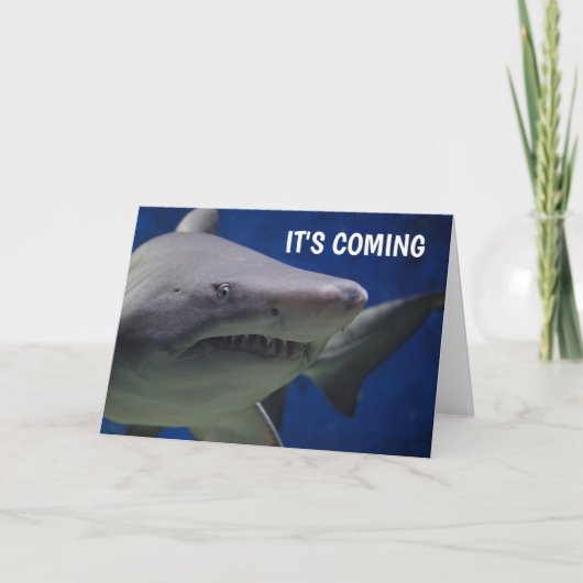 CARTES D'ANNIVERSAIRE FUNNY SHARK (Devant)
