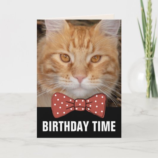 CARTES D'ANNIVERSAIRE GINGER RED CHAT (Devant)
